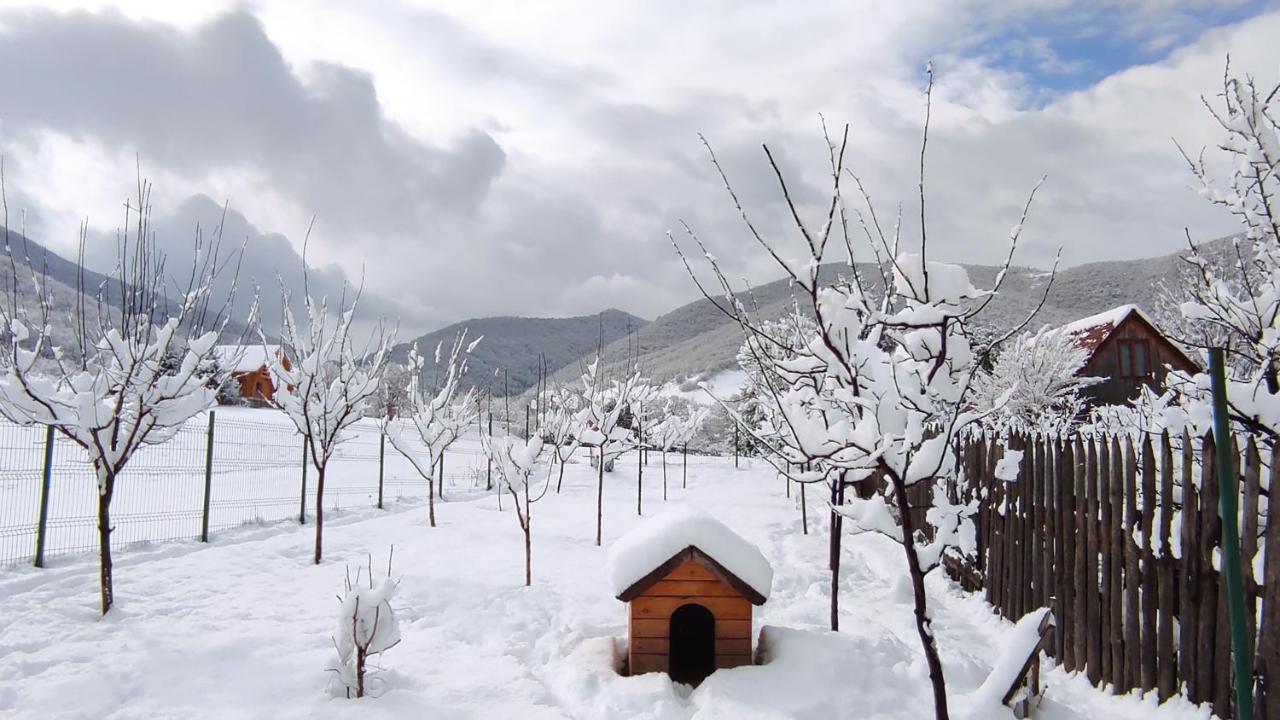 Home Away From Home Gura Raului Ngoại thất bức ảnh